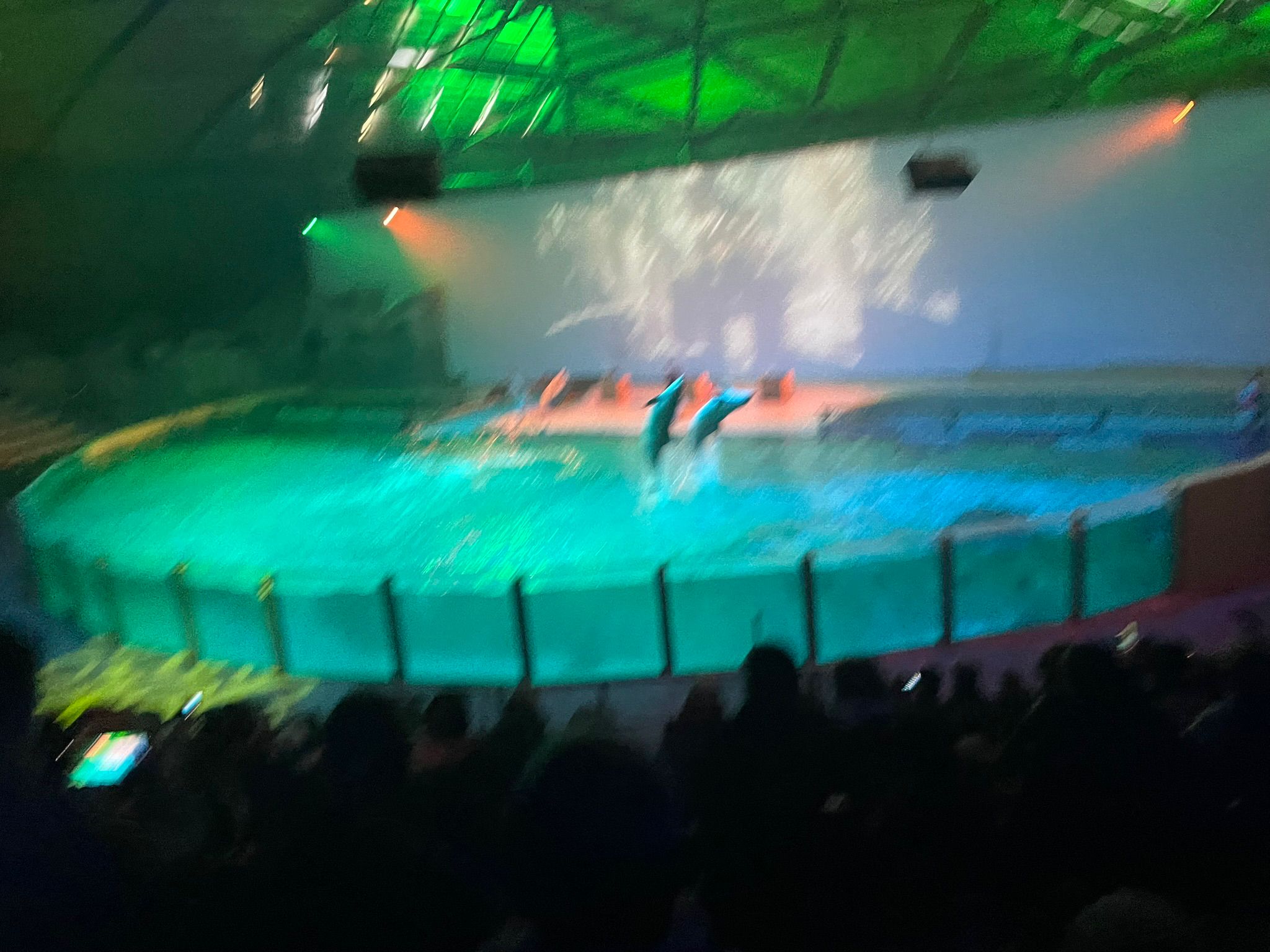 Sint-Martinus den XIIde - Winterkamp JVK 2024